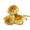 Goldie Magic Mushrooms - Image 2